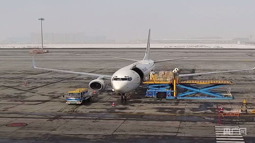 新疆國際貨運包機業務全面恢復，為國際物流注入新動能
