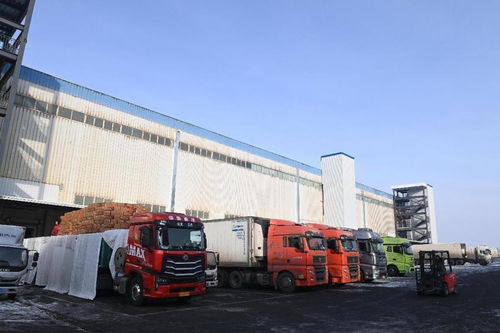 新疆海鴻國際食品物流港匯通智冷4萬噸倉庫試運行，打造國際冷鏈物流新樞紐